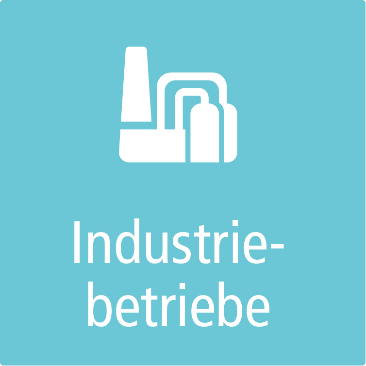 Icon Industriebetriebe